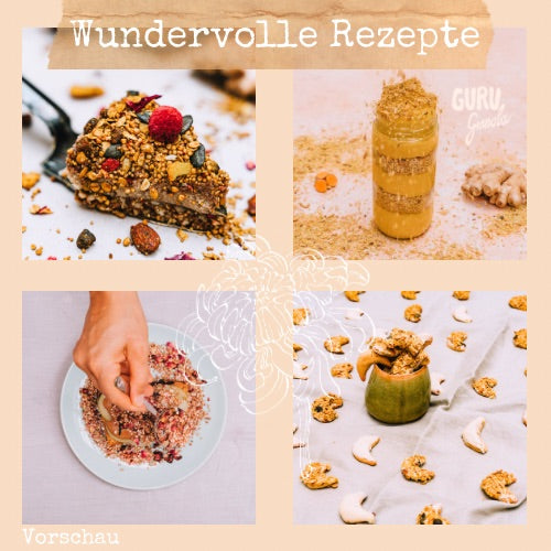 GURU to the Moon Backbuch (E-Book)