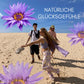 Blauer Lotus Sonnengetrocknete Blüten aus der Laguna Puttalam, 50g