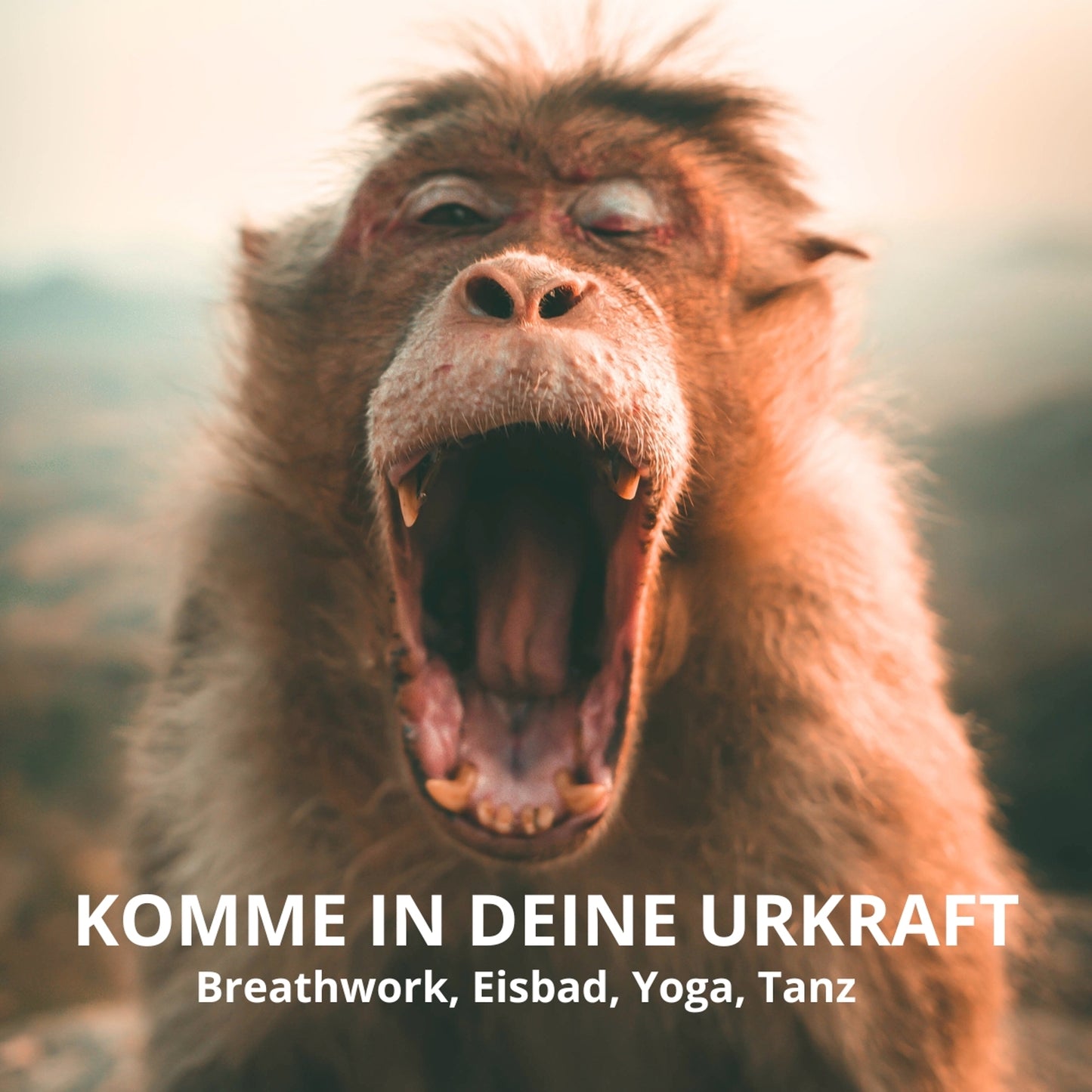 DEEP DIVE Yoga Breathwork Retreat - Eine Reise in deine Wahrhaftigkeit