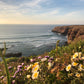 YOGA, BREATHWORK & AYURVEDA Retreat in MAROKKO - AUSGEBCUHT!