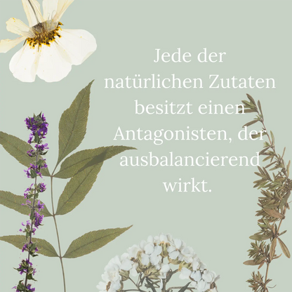 BIO FLOW Wisdom - herzhaft, asiatisch, Curry